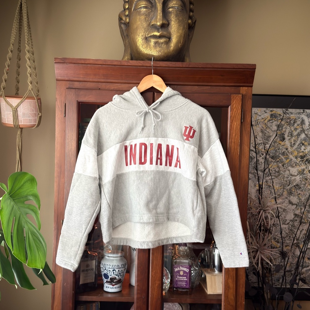 Indiana University Gray Crop Hoodie Sweatshirt